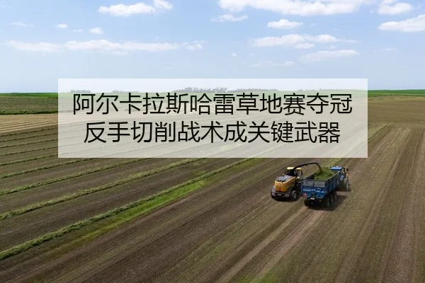 阿尔卡拉斯哈雷草地赛夺冠 反手切削战术成关键武器
