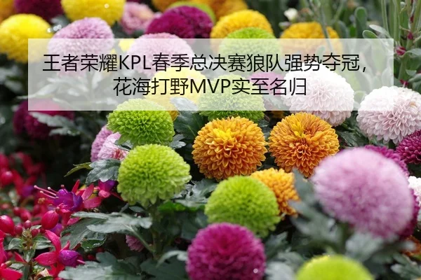 王者荣耀KPL春季总决赛狼队强势夺冠，花海打野MVP实至名归